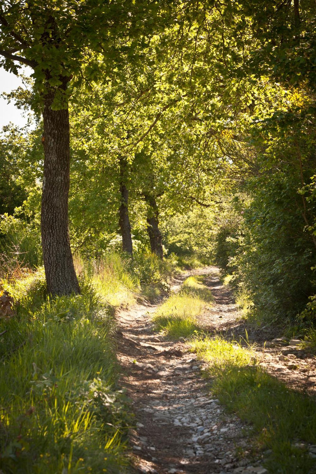 فيلا Relais Parco Del Subasio Piano Delle Pieve المظهر الخارجي الصورة