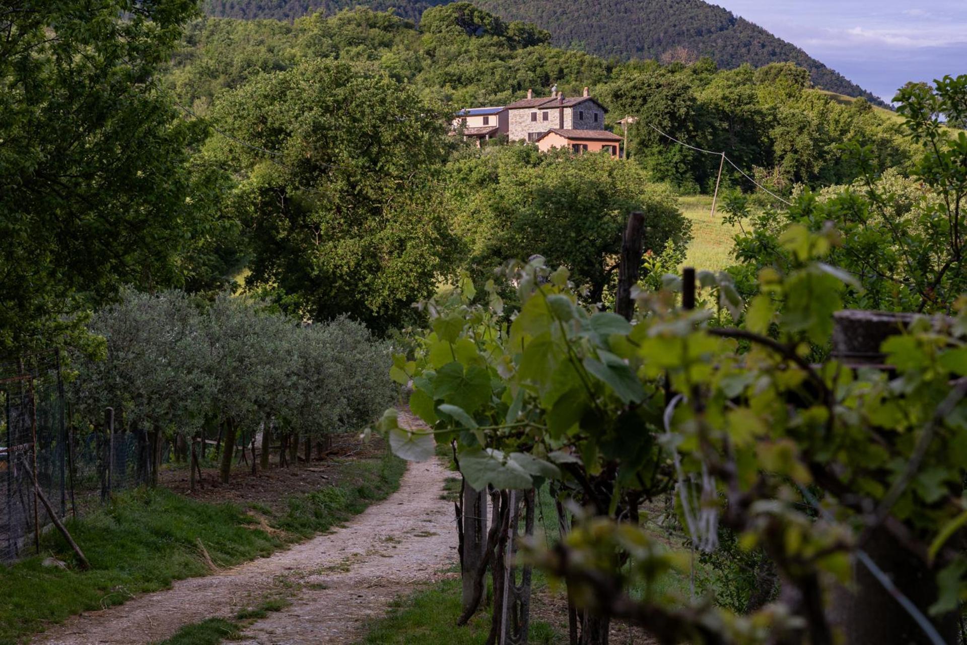 فيلا Relais Parco Del Subasio Piano Delle Pieve المظهر الخارجي الصورة