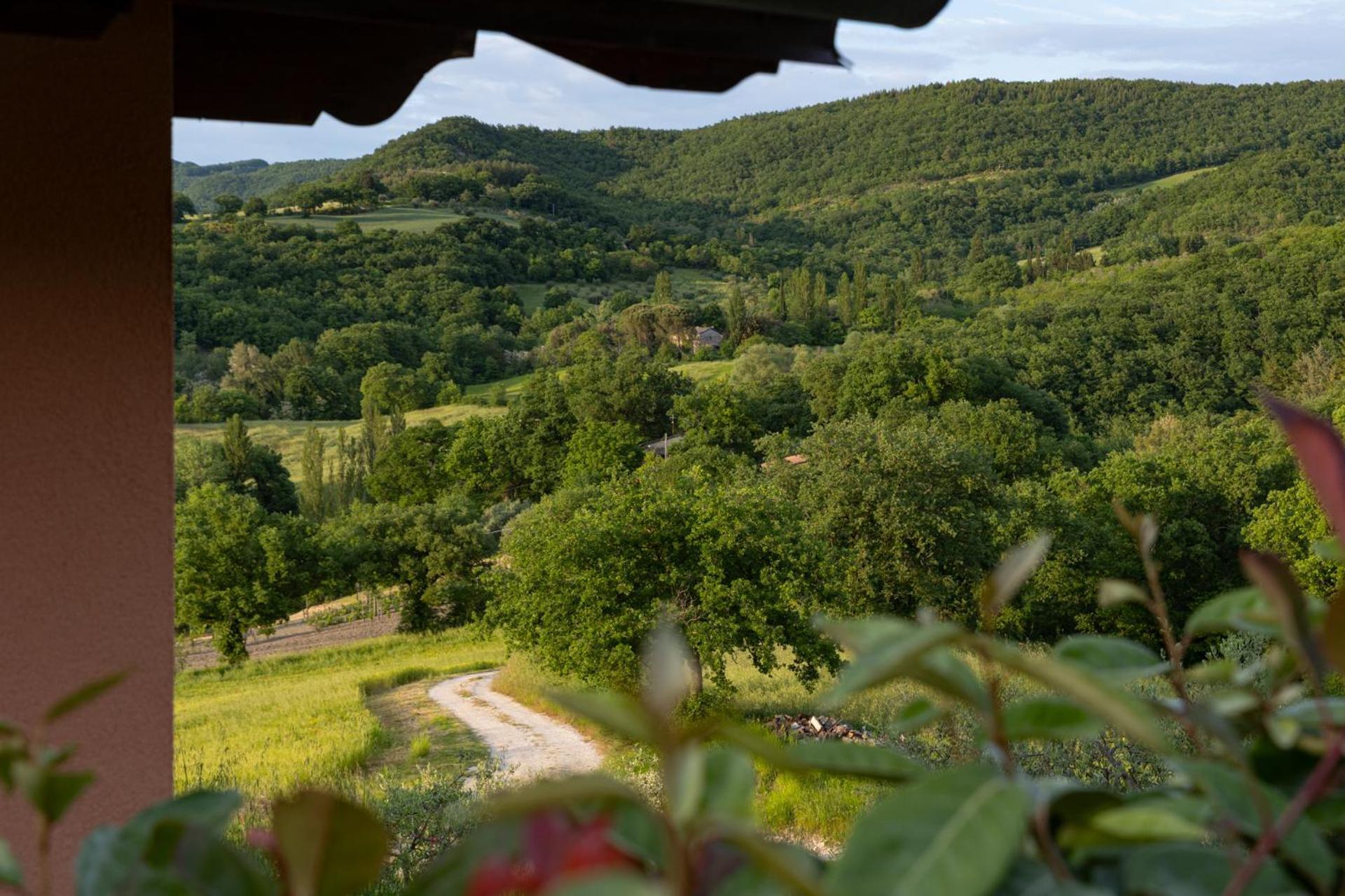 فيلا Relais Parco Del Subasio Piano Delle Pieve المظهر الخارجي الصورة